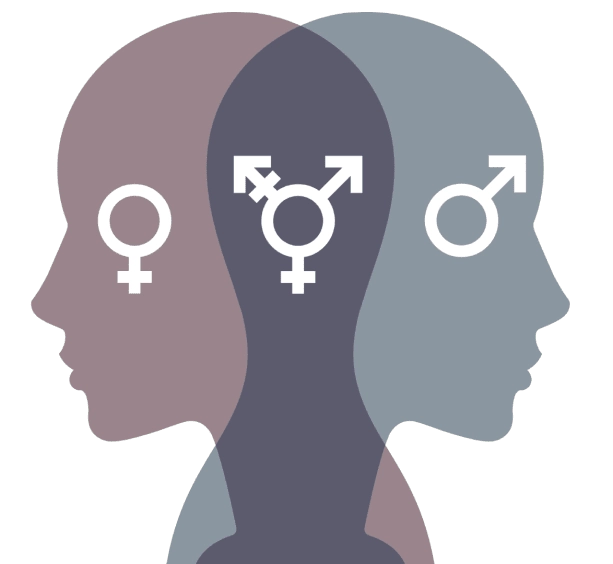 gender ideology